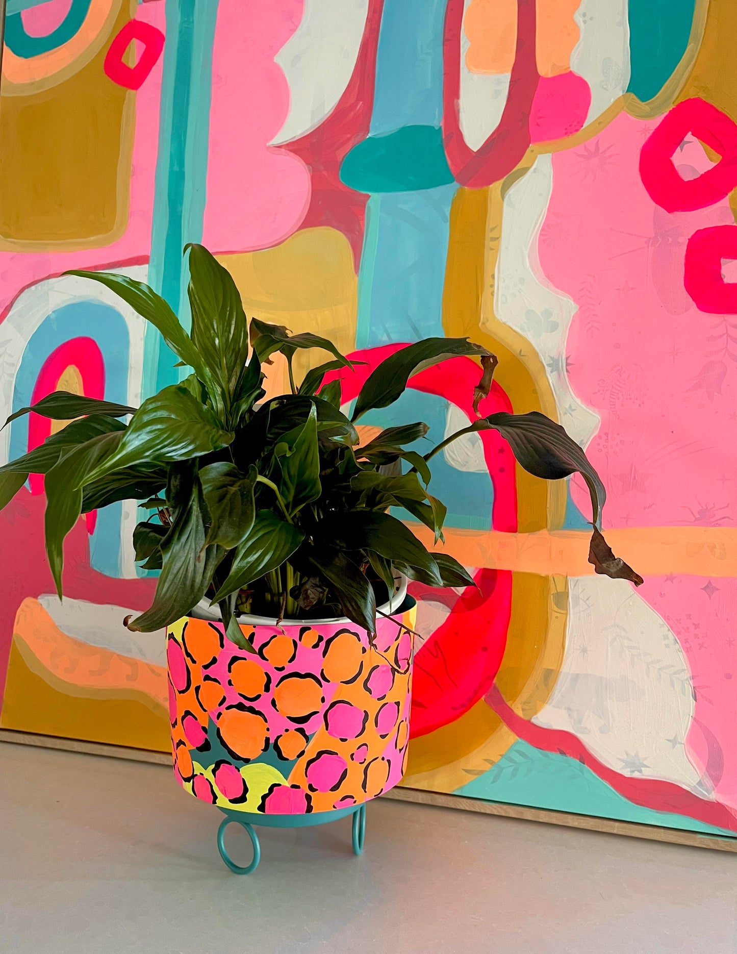 POT PLANT MULTI COLOUR