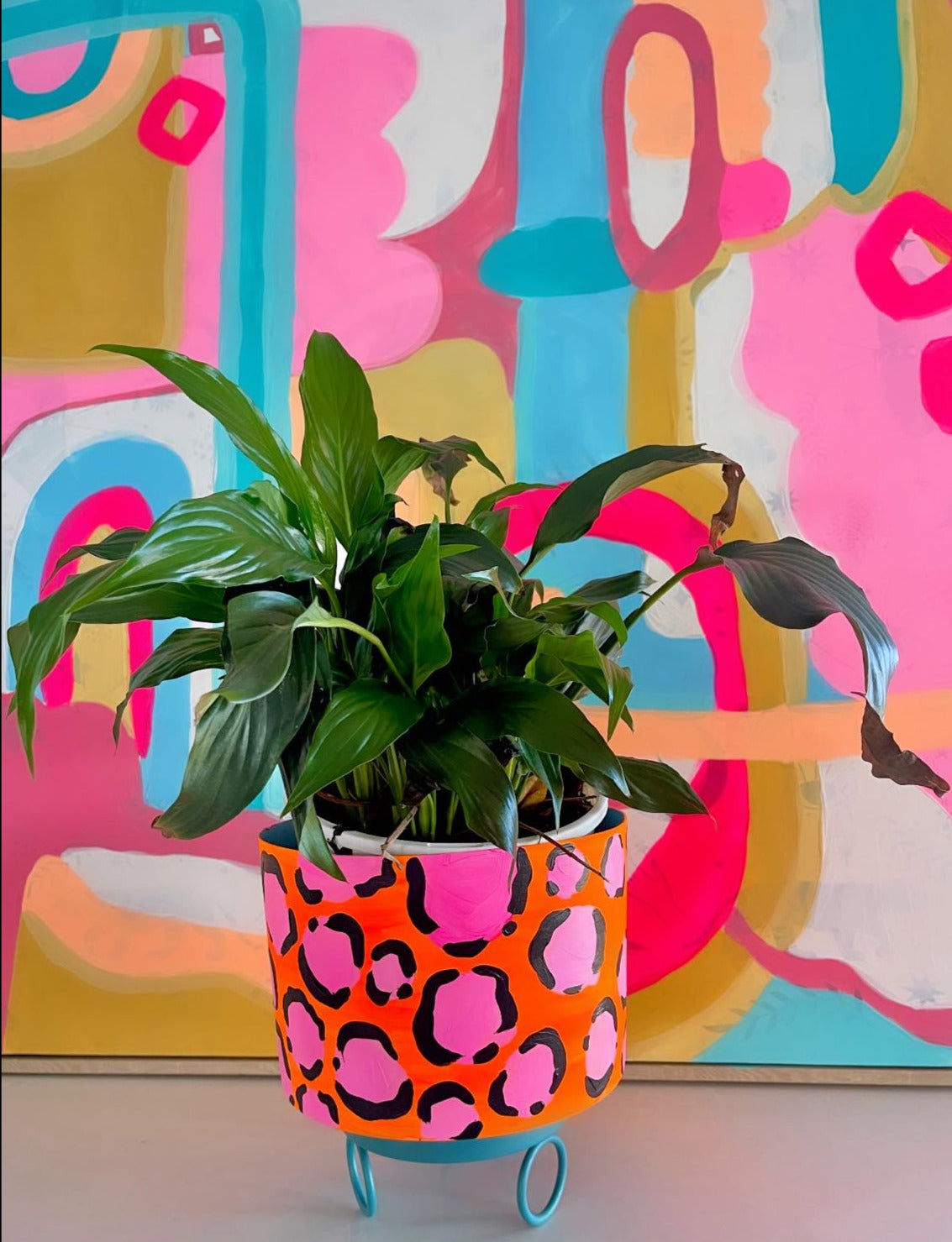 POT PLANT ORANGE AND PINK